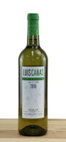 Luis Cañas Blanco